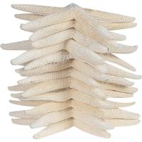 105866 ΑΣΤΕΡΙΕΣ 7- ΣΕ ΔΙΧΤΑΚΙ